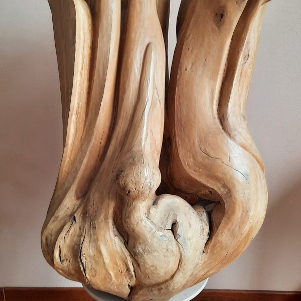 Kees Verhoeve